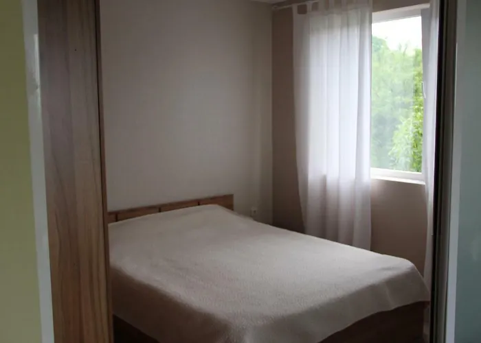 Complex Ruzh Lejlighed *